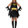 Batgirl Kostuum Dames