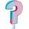 Boy/Girl Reveal Pull Pinata