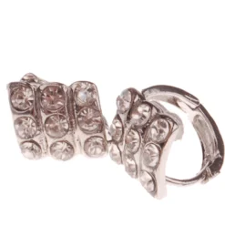 Dames Oorbellen Zilver Met Strass