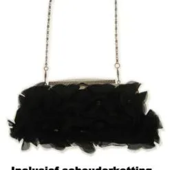 Handtas Zwart+ruches+tule + Korte En Lange Ketting