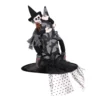 Heksenhoed Luxe Met Heks, Kind