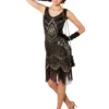 Jaren 20 Jurk, Zwart/Zilver