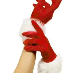 Kerst Handschoenen