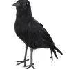Kraai (23x10cm)