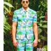 Flaminguy Summer Suit