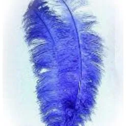 Spadonis Veren Blauw (Piet Veren) ± 50cm