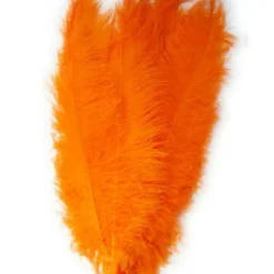 Spadonis Veren Oranje (Piet Veren)± 50cm