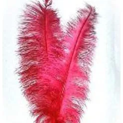 Spadonis Veren Rood (Piet Veren) ± 50cm