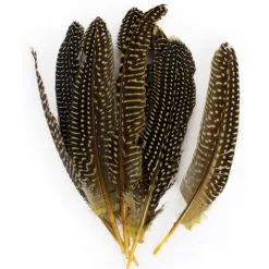 Veren Parelhoen 15/20 Cm Geel (10 Stuks)