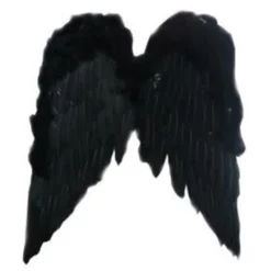 Vleugels Engel Zwart - 50cm