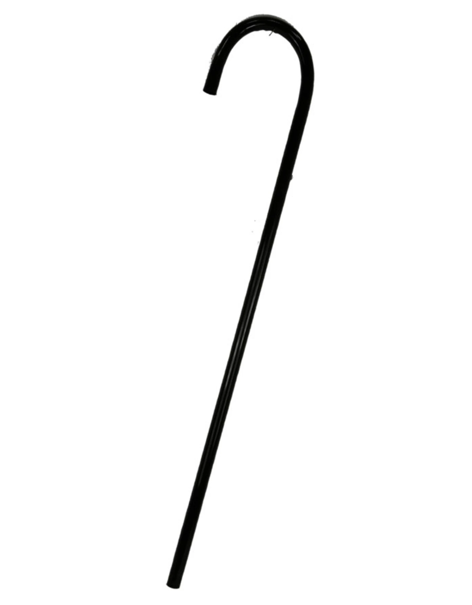 Wandelstok 80cm 1 Wandelstok 80cm