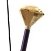 Wandelstok Met Gouden Diamant